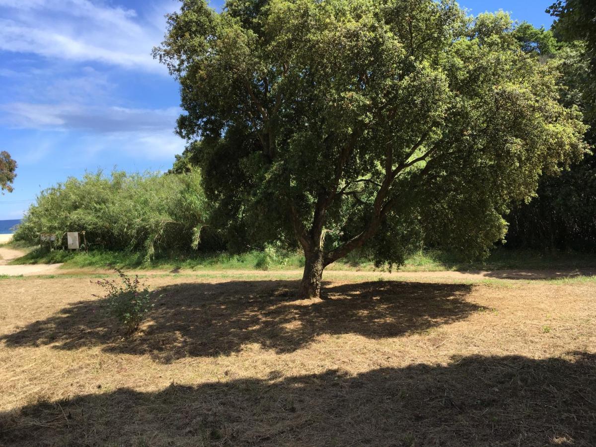 Le Clos Des Sept Palmiers 5*